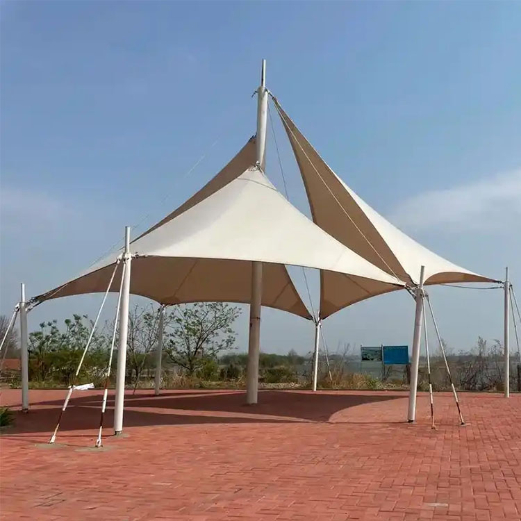 新龙县膜结构景观棚