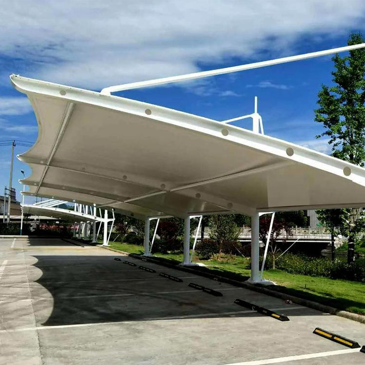 新龙县膜结构汽车棚